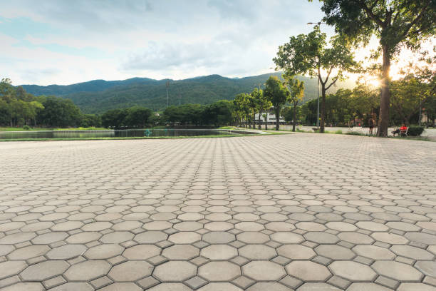 Best Custom Driveway Pavers  in Lesslie, SC